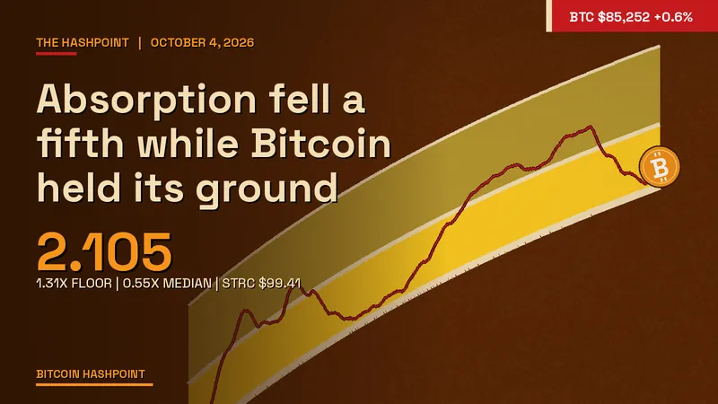 Absorption fell a fifth while Bitcoin held its ground