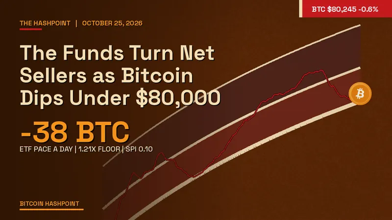 The Funds Turn Net Sellers as Bitcoin Dips Under $80,000