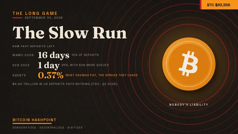 The Slow Run
