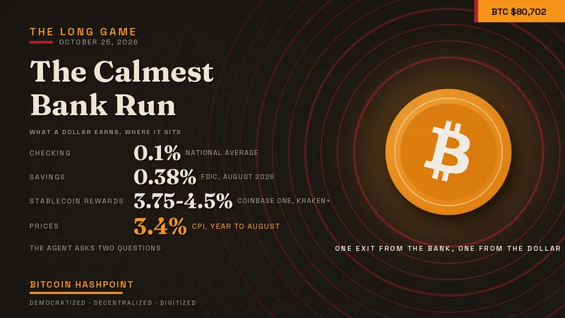 The Calmest Bank Run