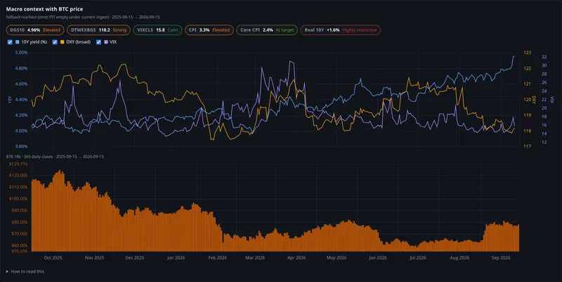 macro context with btc price panel