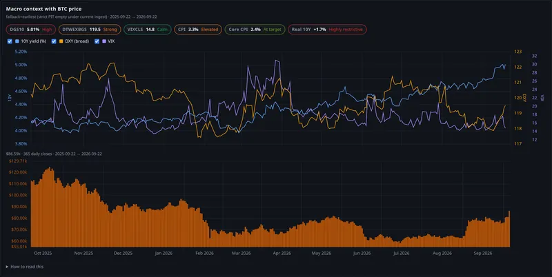macro context with btc price panel